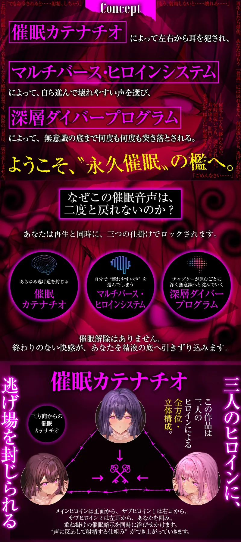 本文説明画像
