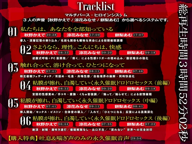 本文説明画像