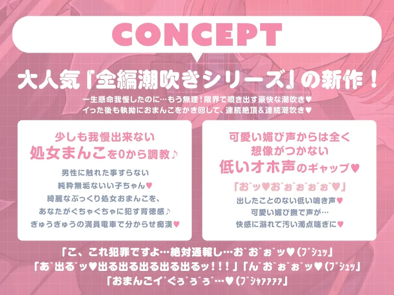 本文説明画像