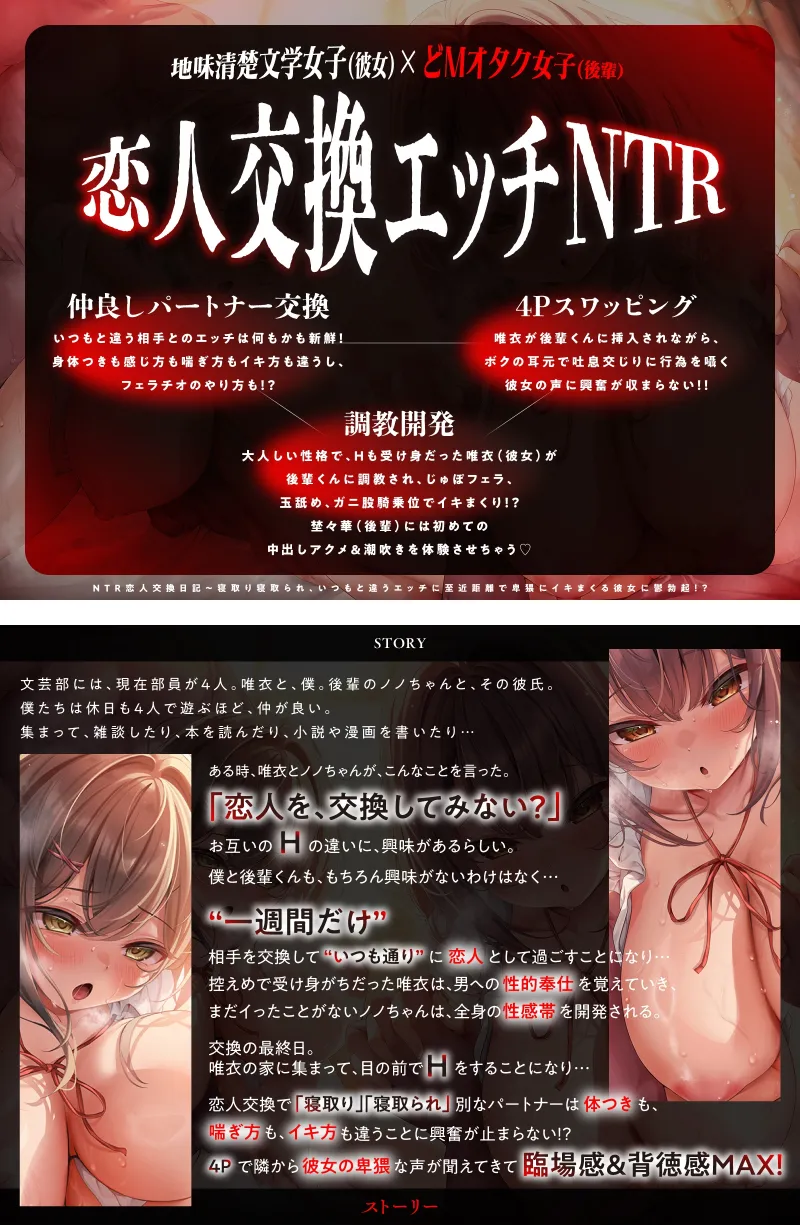 本文説明画像
