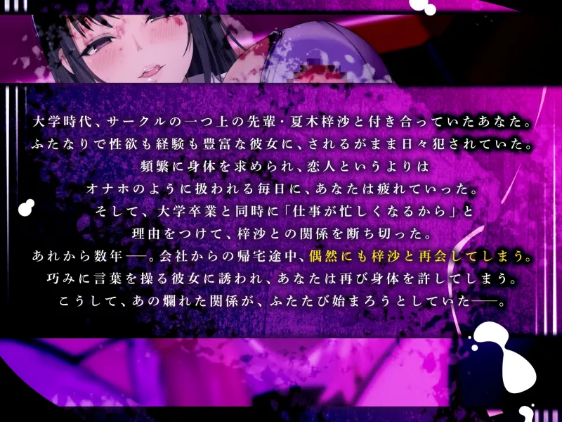 本文説明画像