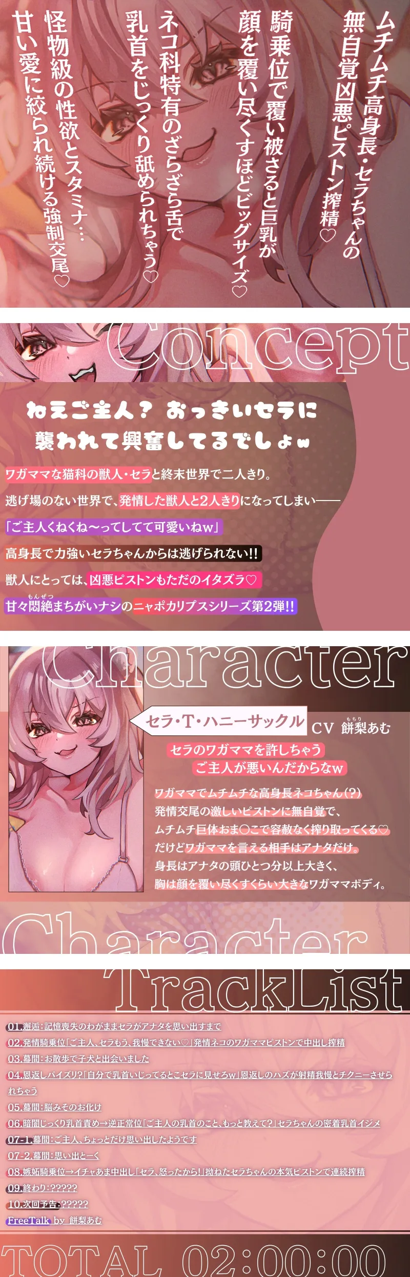 本文説明画像