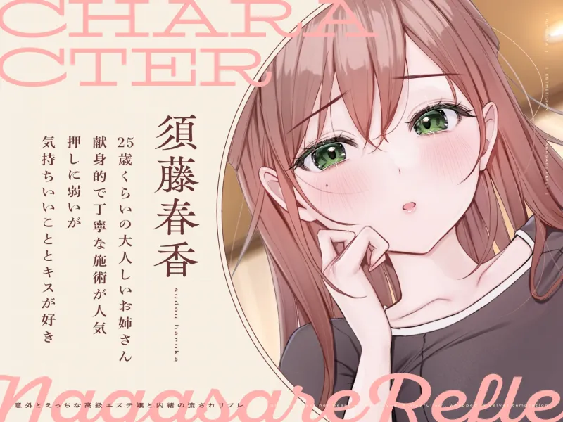 本文説明画像