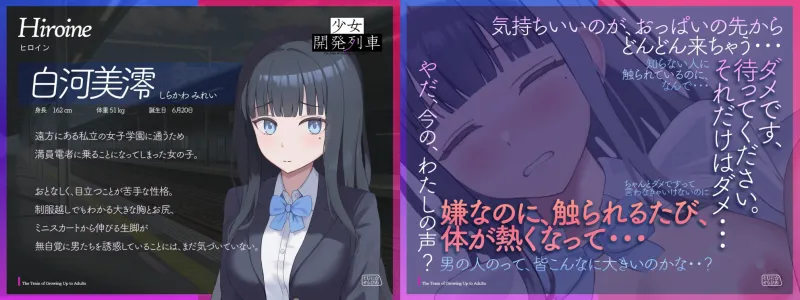 本文説明画像