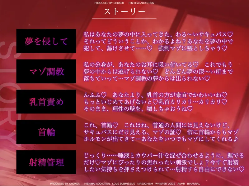 本文説明画像