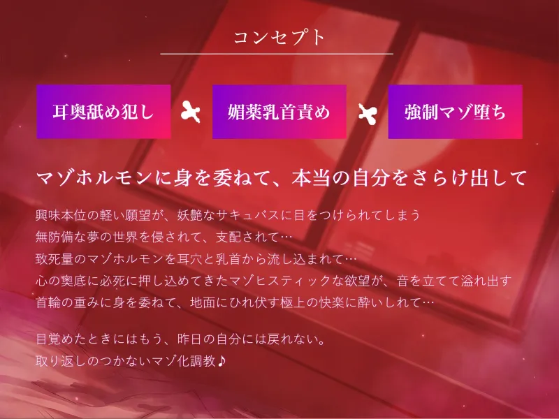 本文説明画像