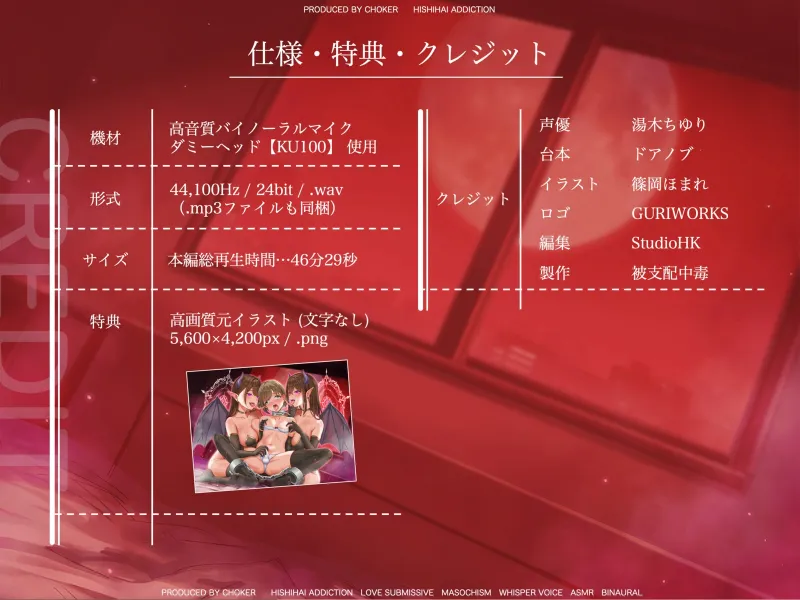 本文説明画像