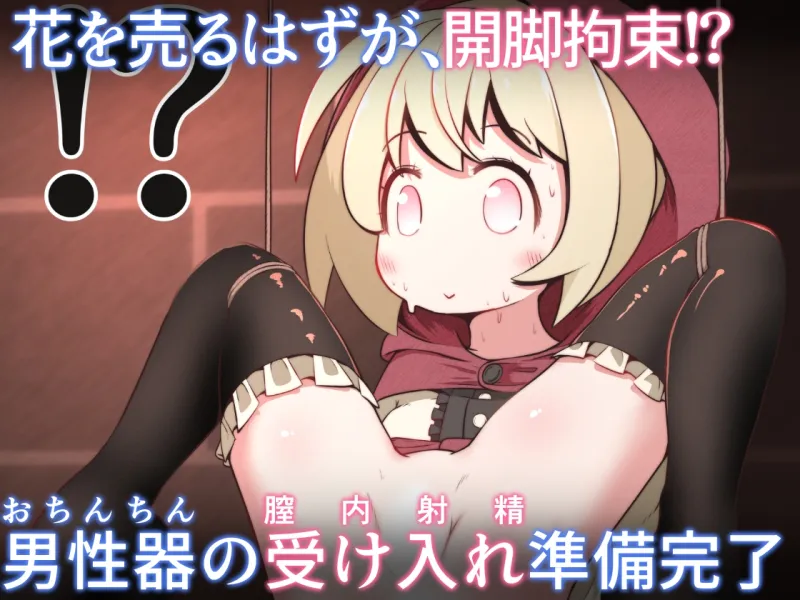 花売り少女を拘束して肉壁が裏返るほど犯るお話