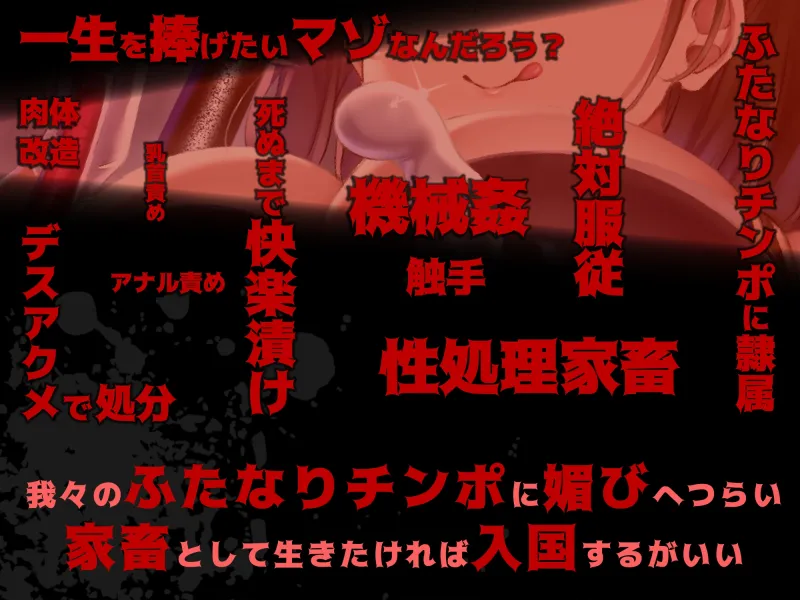 ふたなり国家 -The Futa Nation-