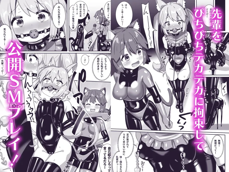 でりしゃす！奴隷センパイ