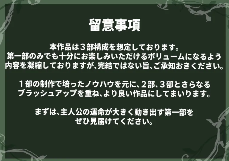 シルフィクラウン 第一部