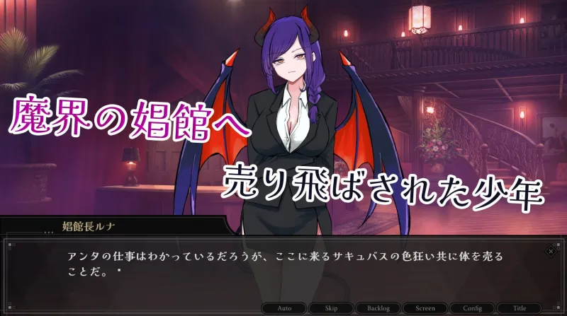 サキュバス専用！逆レイプ娼館へようこそ