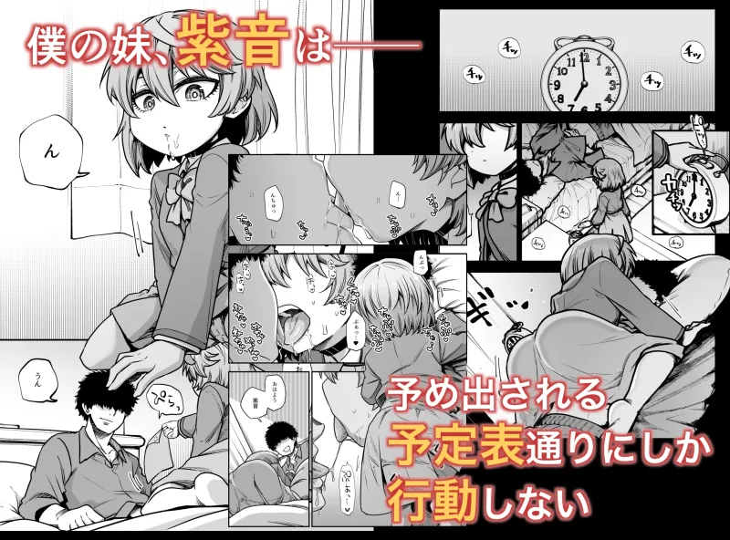 僕の妹は予定表通りにしか行動できない