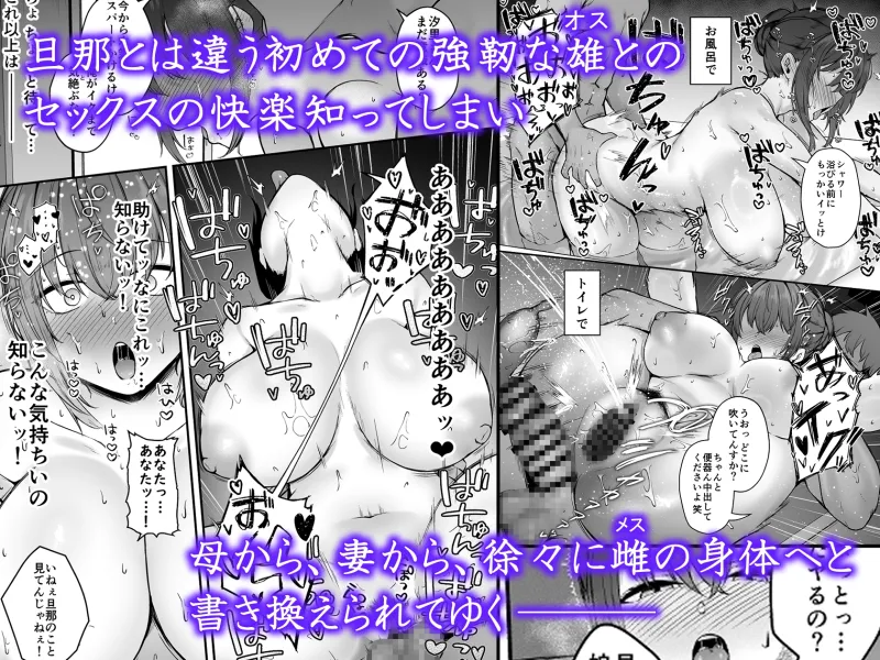 贄妻 -とある村の淫習の記録-